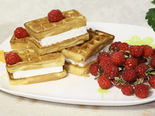 stock image Wafers with a raspberry on a dish on a grey background