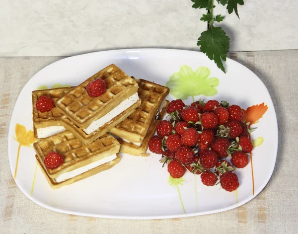 Stock image Wafers with a raspberry on a dish on a grey background