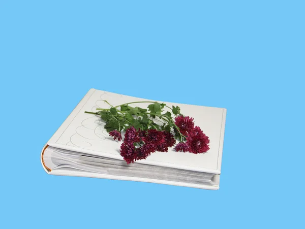El álbum de fotografía con flores de ramo —  Fotos de Stock