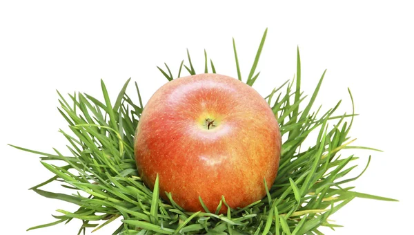Красное яблоко на траве на белом фоне — стоковое фото
