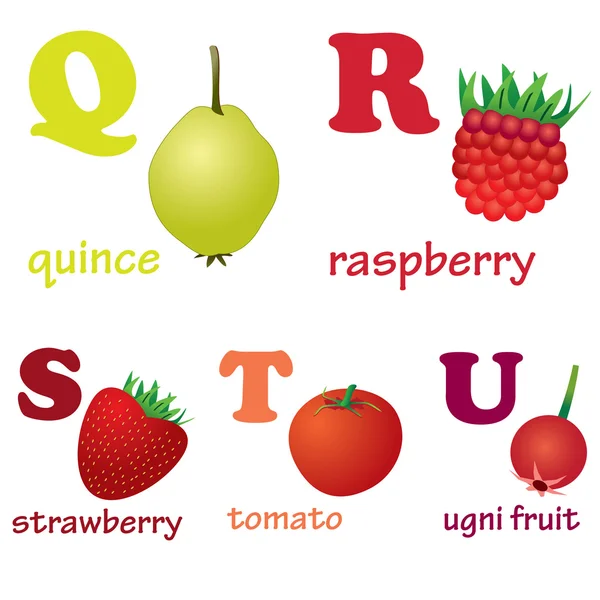 Alfabet litery q-u z owocami. — Wektor stockowy
