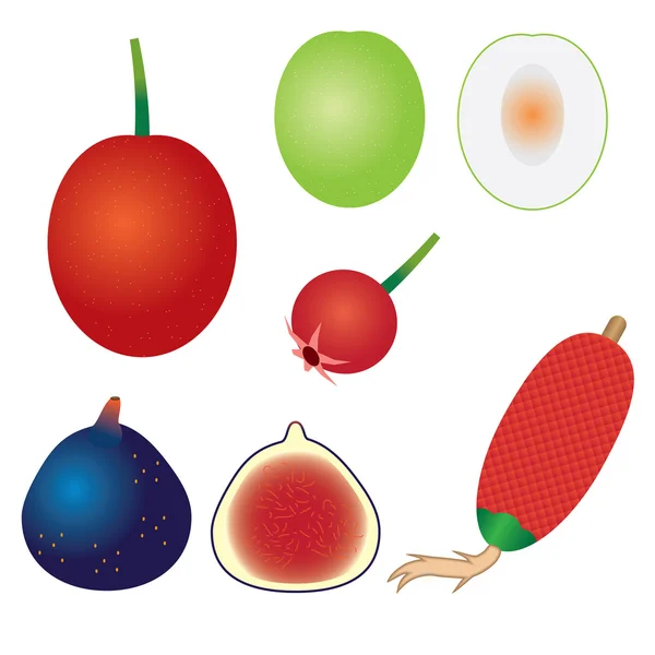 Set of exotic fruits. — Stock Vector