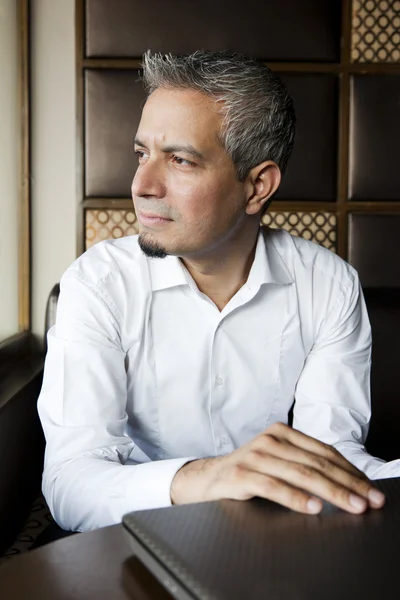 Retrato de un guapo empresario indio de pelo gris — Foto de Stock