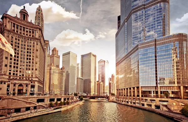 Chicago manzarası - Stok İmaj
