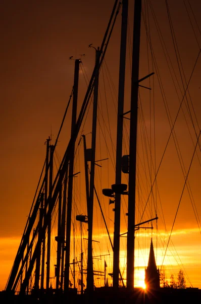 stock image Sunset in Ostend