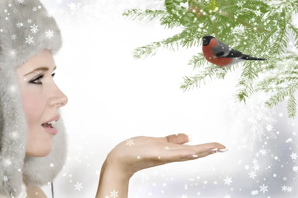 Snow Prenses ve şakrak kuşu — Stok fotoğraf
