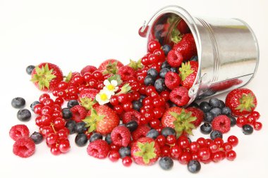 Berries clipart