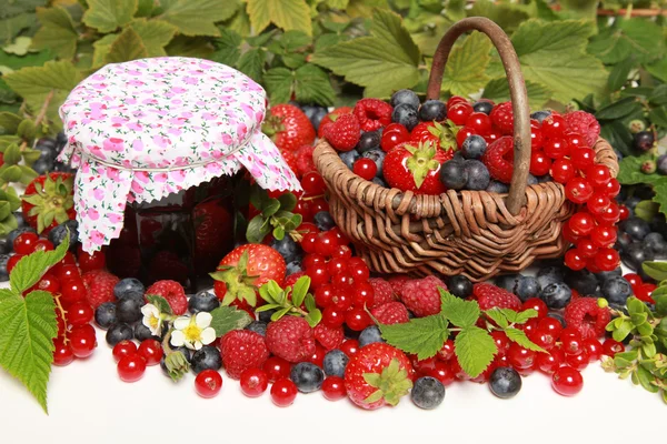 stock image Berries