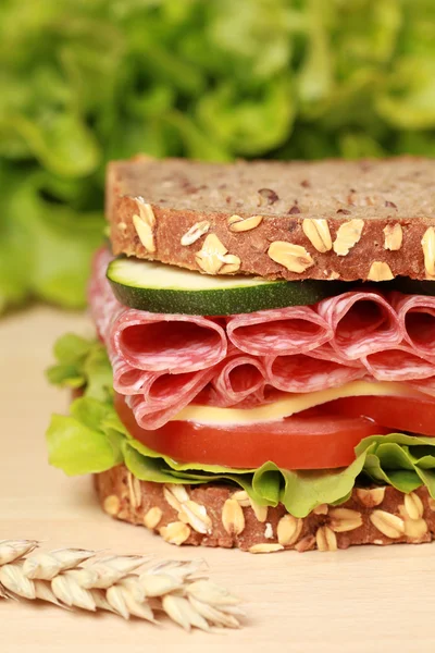 Salami Sandwich — Stock Photo, Image