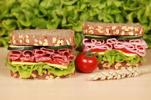 Sandwiches met salami en ham — Stockfoto