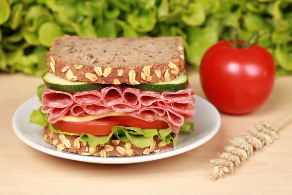 サラミのサンドイッチ — ストック写真