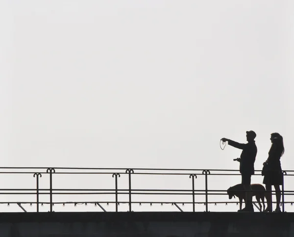Paar mit Hund auf Hafenmole — Foto Stock