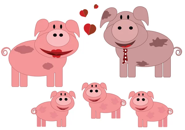 猪家庭 — 图库照片