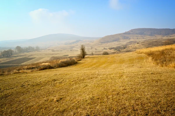 stock image Beautiful landscape