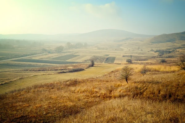 stock image Beautiful landscape