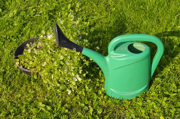 Green watering can. — Stock Photo, Image