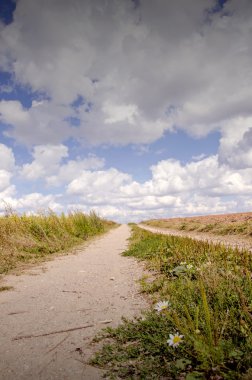 kırsal stabilize yol.