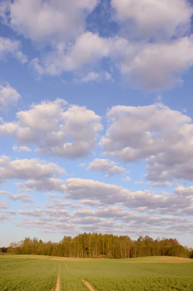 Övergiven väg en molnig himmel. — Stockfoto