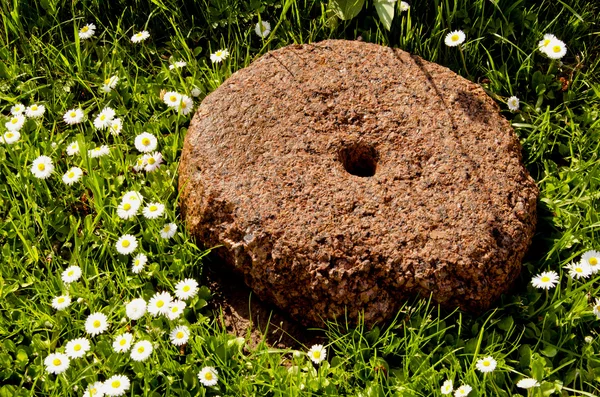 Millstone resting in grass. — Stock Photo, Image
