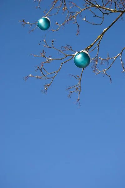 New year toy hanging on a tree branches. — Stock Photo, Image