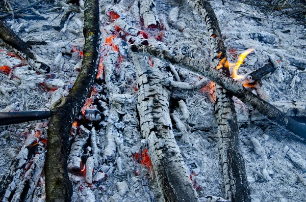 燃烧树枝、 余烬和火焰. — 图库照片