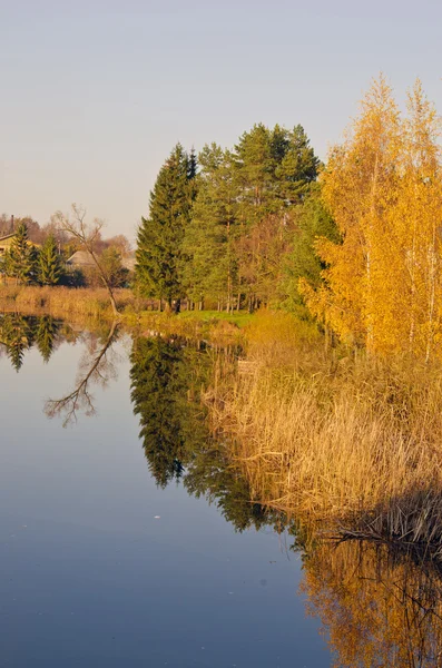 Озеро с отражением цветных листьев деревьев . — стоковое фото
