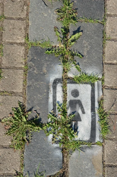 Pavement walkway fragment with weed between bricks — Stock Photo, Image