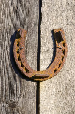 Rusty horseshoe nailed on old wall. Luck sign. clipart