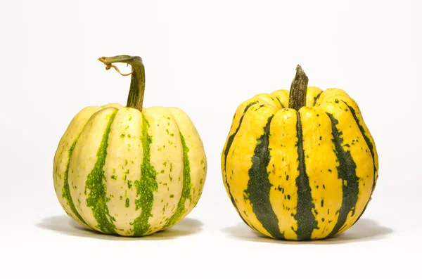 Pumpkins on white background with shadow. — Stock Photo, Image