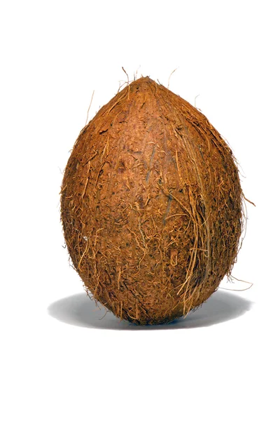 Kokosnuss auf weißem Hintergrund. — Stockfoto