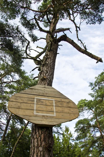Basketbal bord zonder hoepel aangesloten op boom. — Stockfoto