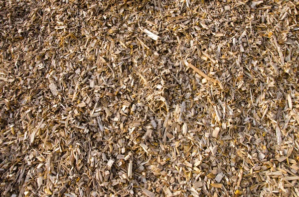 Achtergrond van hout shavings.biomass brandstoffen. — Stockfoto