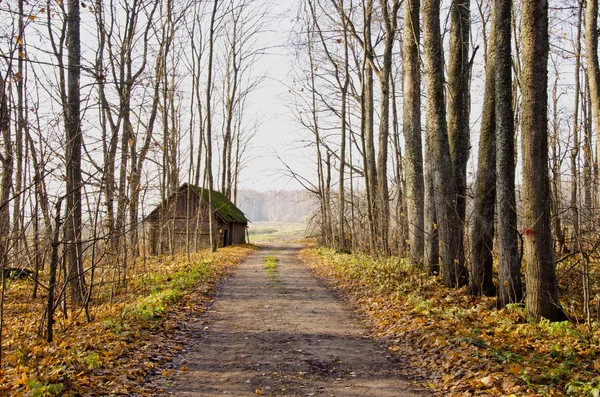 Εγκαταλελειμμένο σπίτι κοντά σε χωματόδρομο και το φθινόπωρο τα δέντρα. — Φωτογραφία Αρχείου