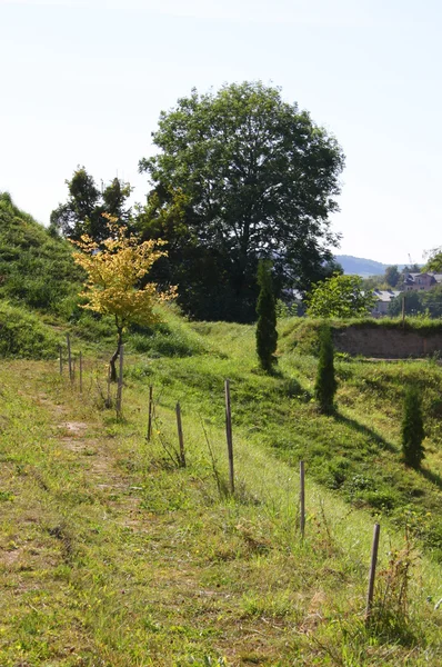 stock image Footpath to autumn