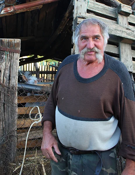 stock image Happy senior farmer