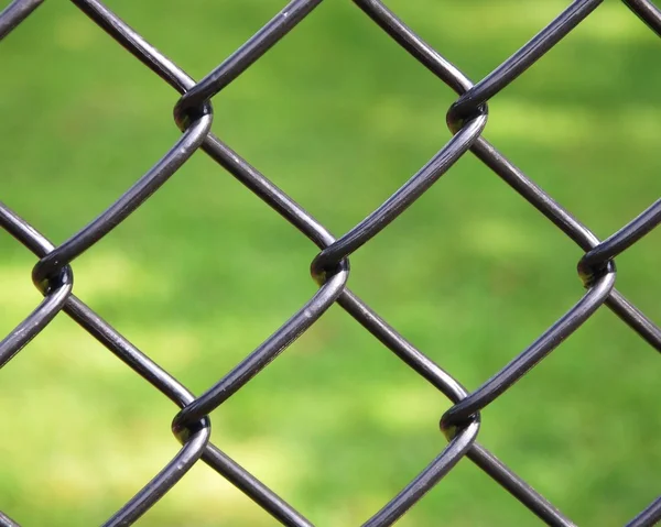 緑色の背景で分離された鉄ワイヤー フェンス — ストック写真