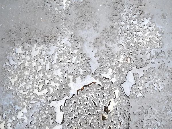 Drops of rain water — Stock Photo, Image