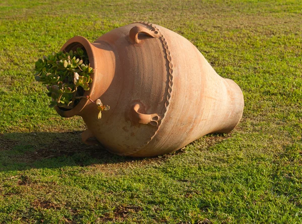 stock image Greek amphora closeup