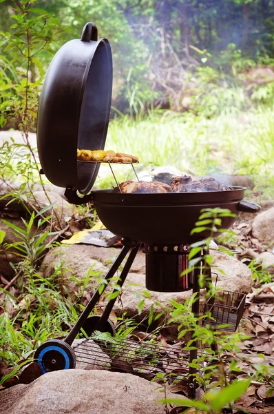 stock image Grill chicken on barbeque isolated forest