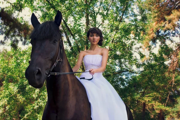 La novia posa sobre un caballo — Foto de Stock