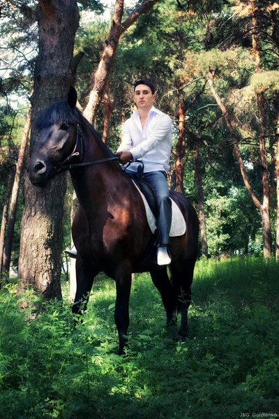 Groom posing on a horse in the forest — Stock Photo, Image