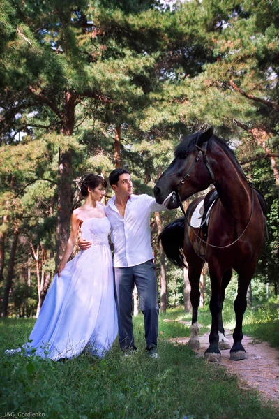 Noiva e noivo posando no jardim com um cavalo — Fotografia de Stock