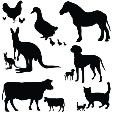 Big collection of animals clipart