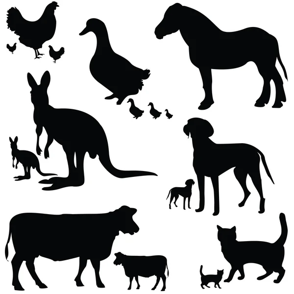 Big collection of animals — Stock Vector