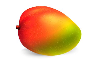 Mango fruit clipart