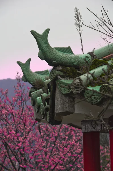 Telhado do templo verde e flor de cereja — Fotografia de Stock