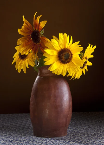 stock image Arrangement of sunflowers.