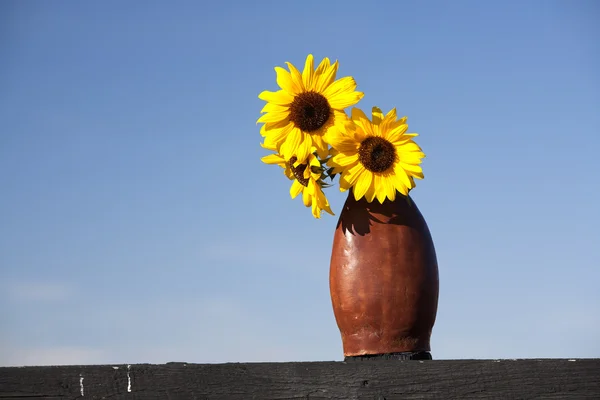 Sonnenblumen und blauer Himmel. — Stockfoto