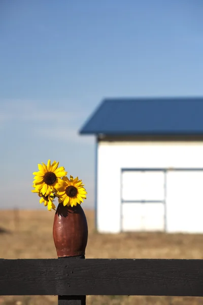 Sonnenblumen im Vordergrund. — Stockfoto