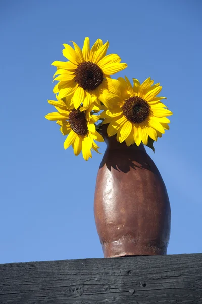 Blue sky and sunflowers. — Stock Photo, Image